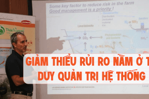 Giảm Thiểu Rủi Ro Nằm Ở Tư Duy Quản Trị Hệ Thống