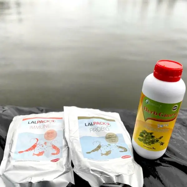 DẤU HIỆU NHẬN BIẾT SỚM SỰ SUY GIẢM CHỨC NĂNG GAN TUỴ Ở TÔM