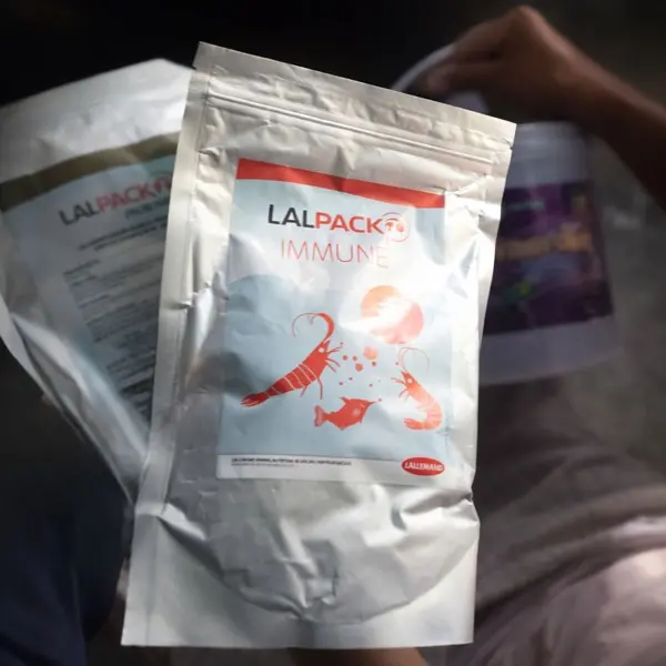 KIỂM SOÁT STRESS CHO TÔM BẰNG LALPACK IMMUNE: CHIA SẺ TỪ MỘT NGƯỜI NUÔI TÔM THÀNH CÔNG