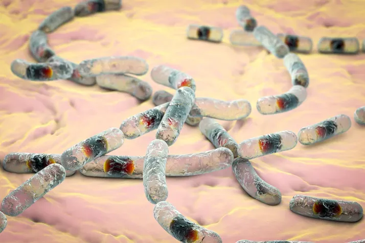 bacillus-probiotic