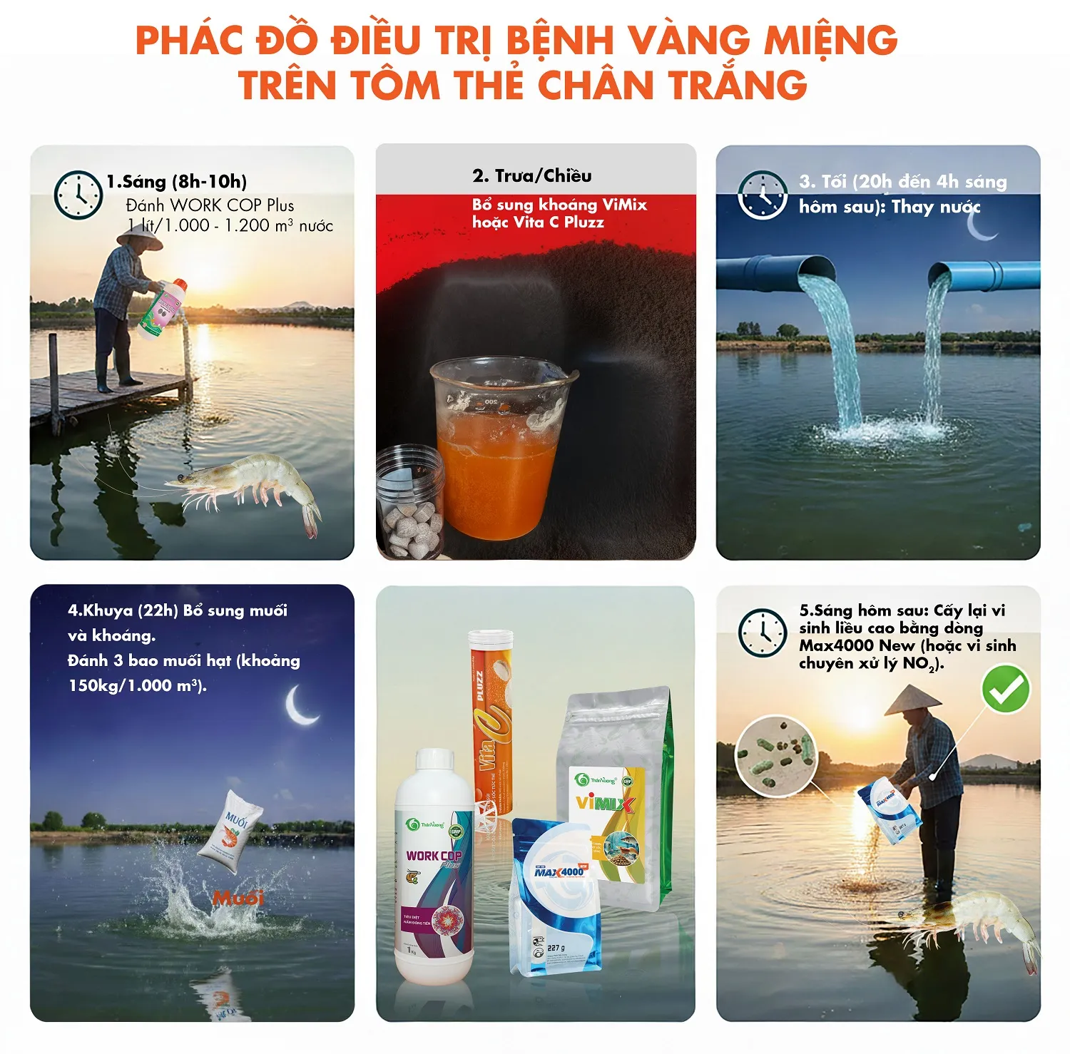 PHAC_YY_YIYU_TRY_BYNH_VANG_MIYNG_CYp_nhYt