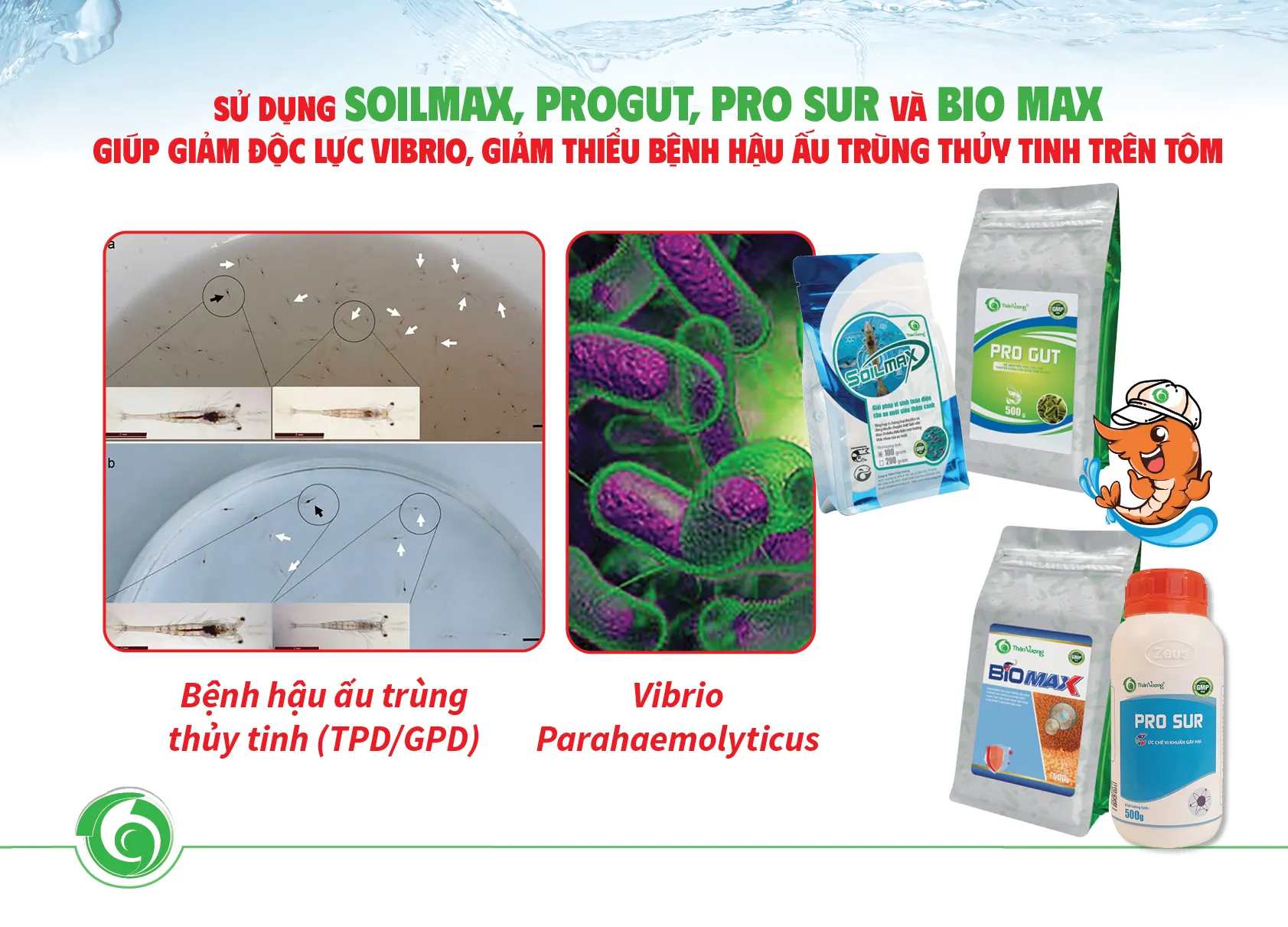 SOILMAX_-_PRO_GUT2