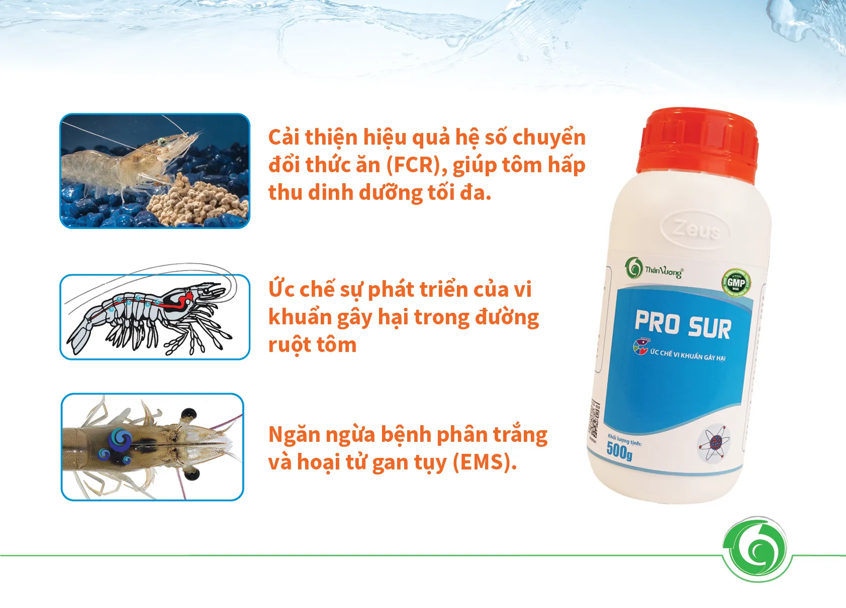 SOILMAX_-_PRO_GUT2_1