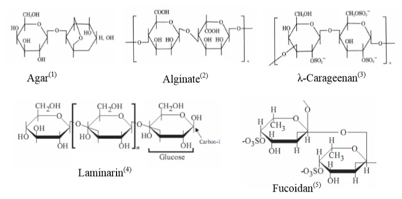 betaglucan_structure