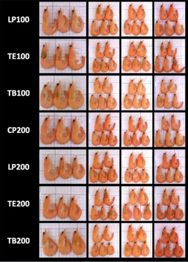 1232