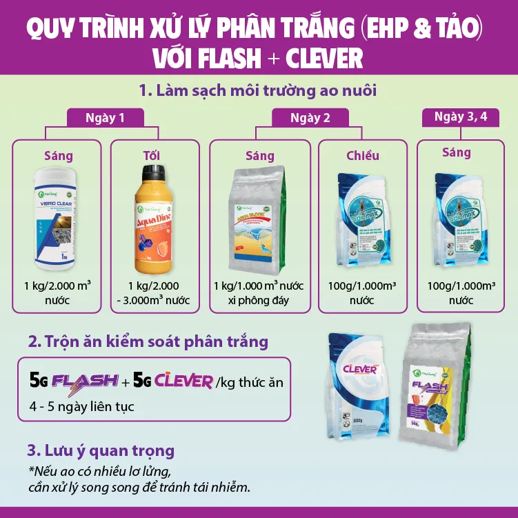 Clever-_Phong_va_YiYu_trY_phan_trYng_vuong-03