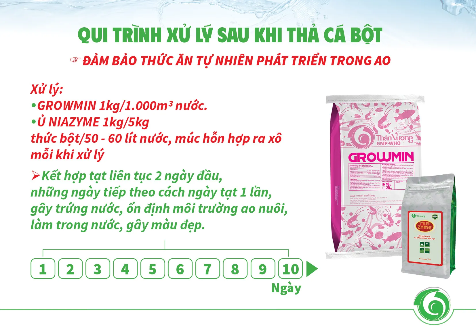 PANGASIUS FRY REARING PROCESS FOR THE FIRST 15 DAYS FOR HIGH SURVIVAL RATE_UPDATED5