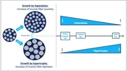 fish_nutrition3
