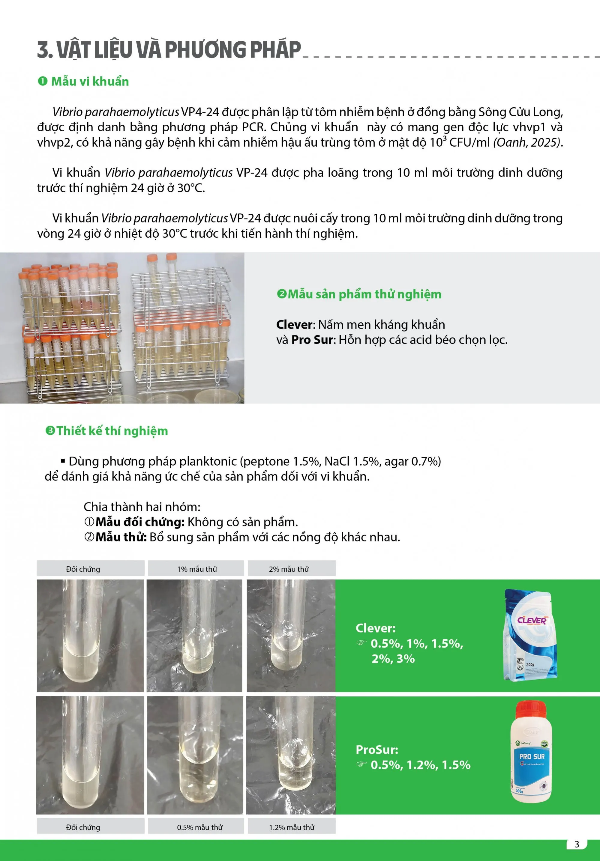 Report on Experimental Antibacterial Capacity - updated content 3