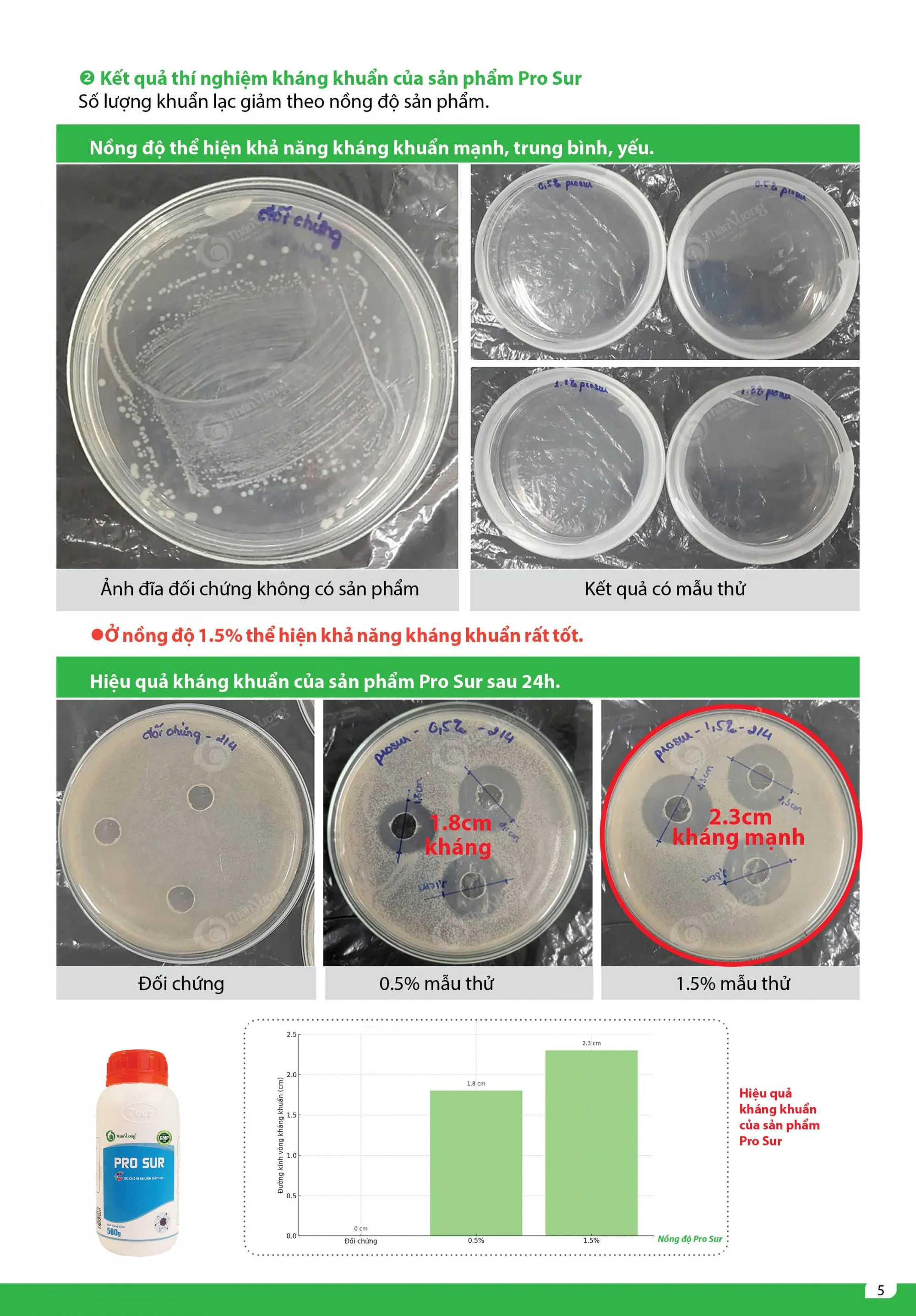 Report on Experimental Antibacterial Capacity - updated content 5