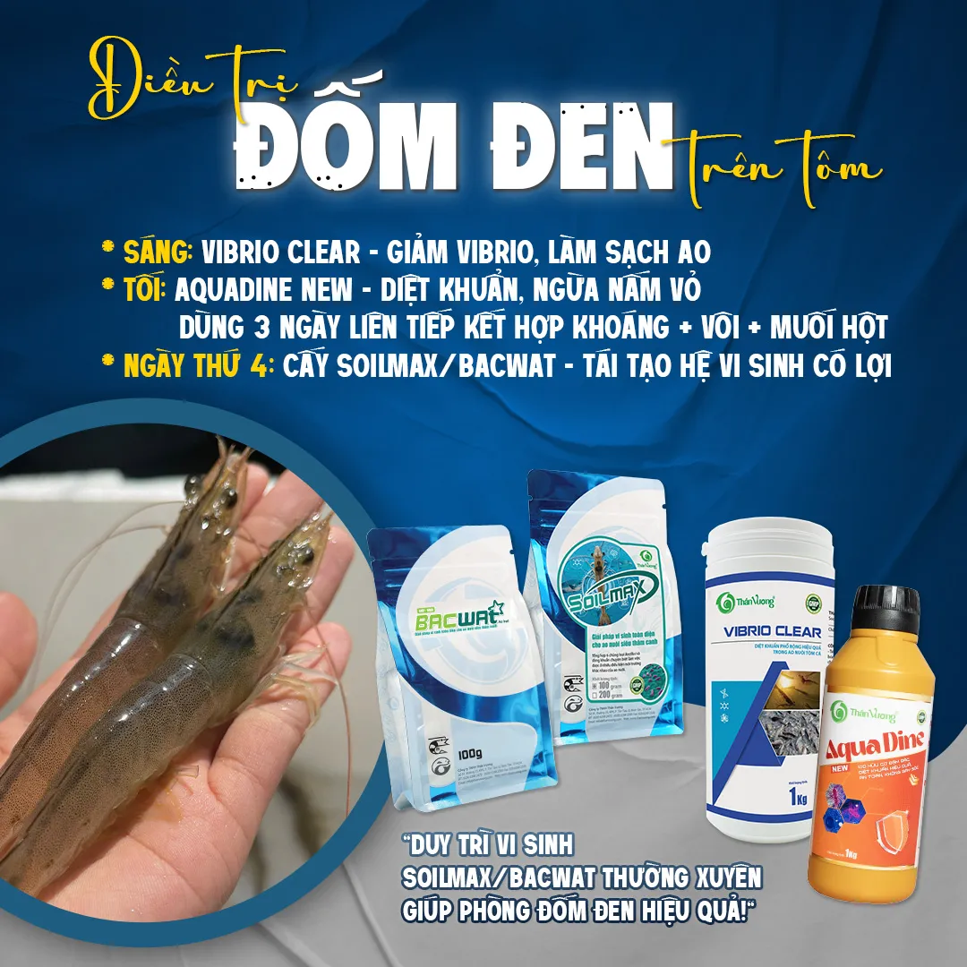 YiYu_trY_YYm_Yen_tren_tom
