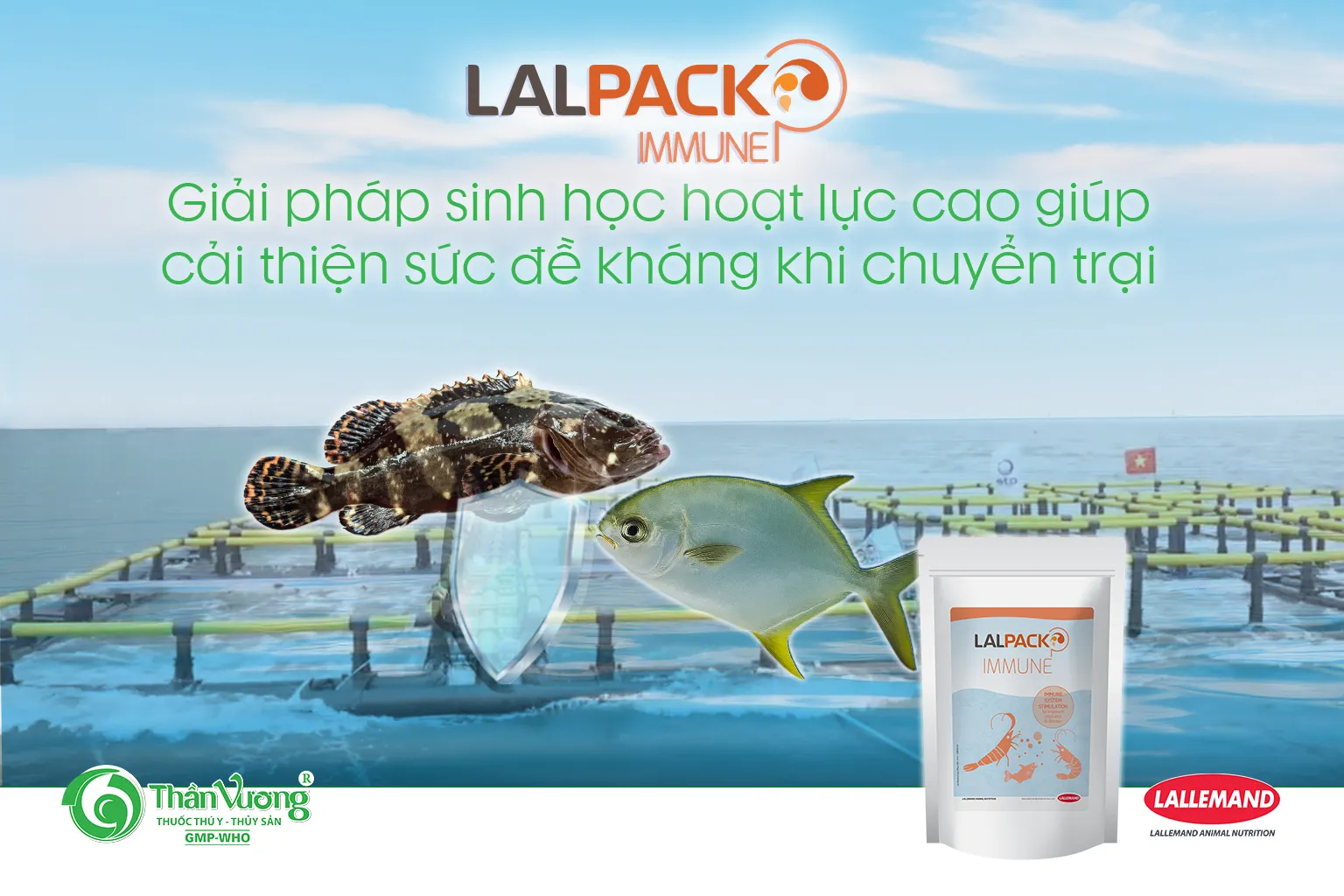lalpack_immune_cYp_nhYt_1