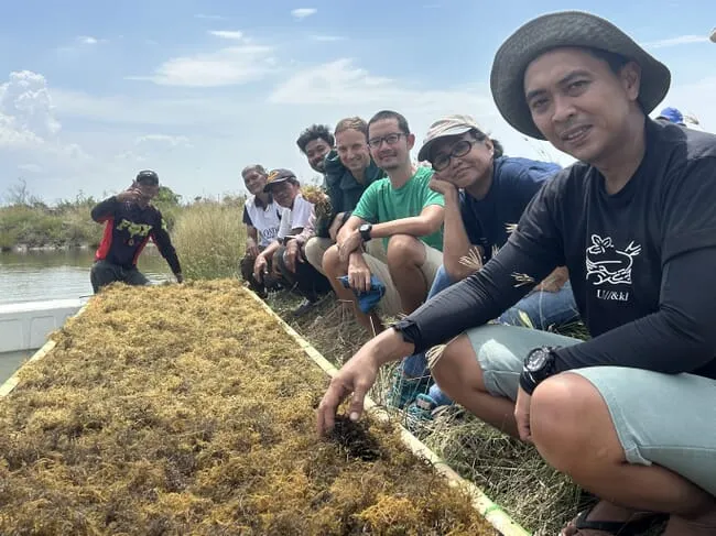 Steve-Hermans-Gracilaria-5-credit-Sambung-Asa