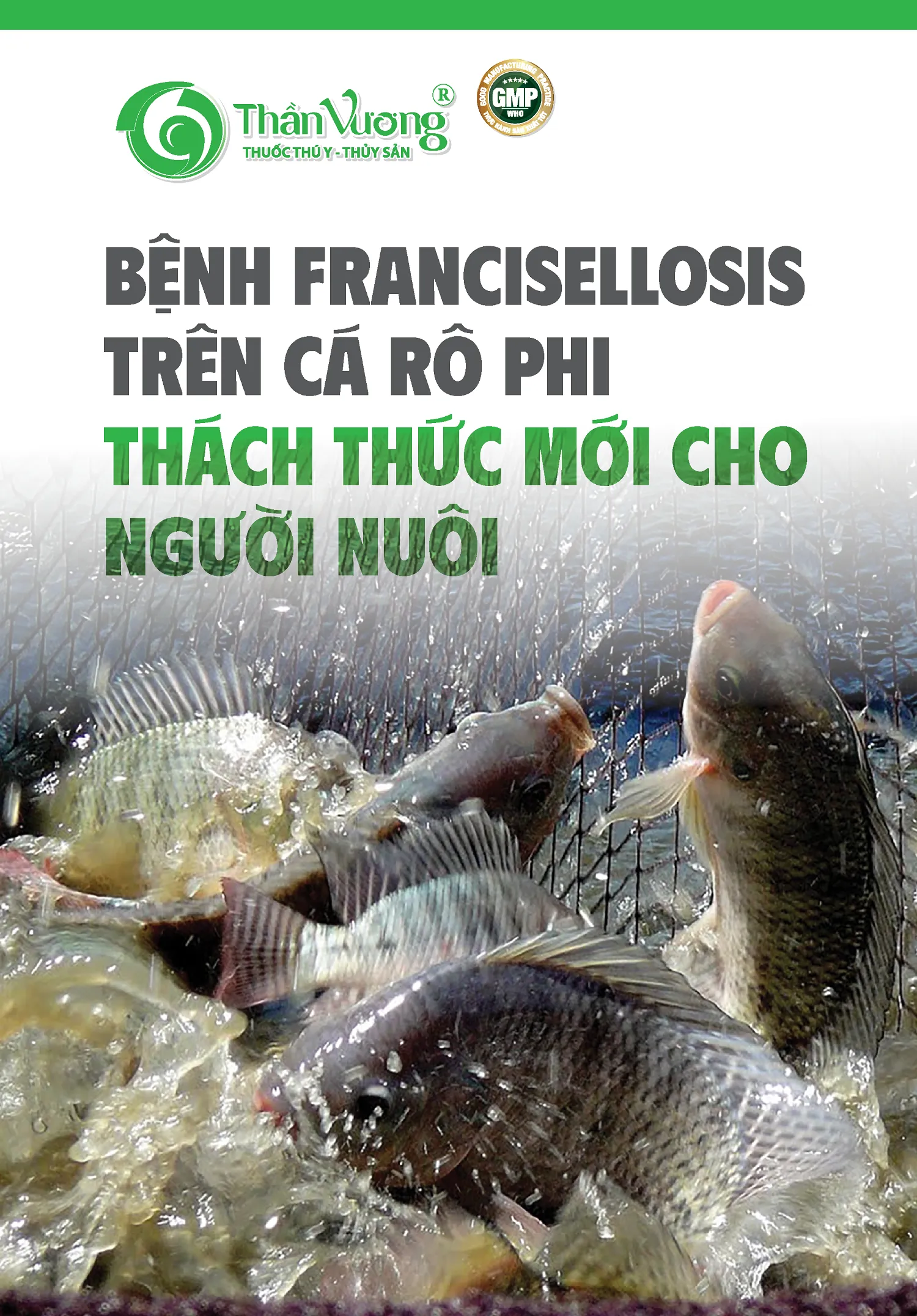 BYNH_FRANCISELLOSIS_TREN_CA_RO_PHI_Y_THACH_THYC_MYI_CHO_NGYYI_NUOI