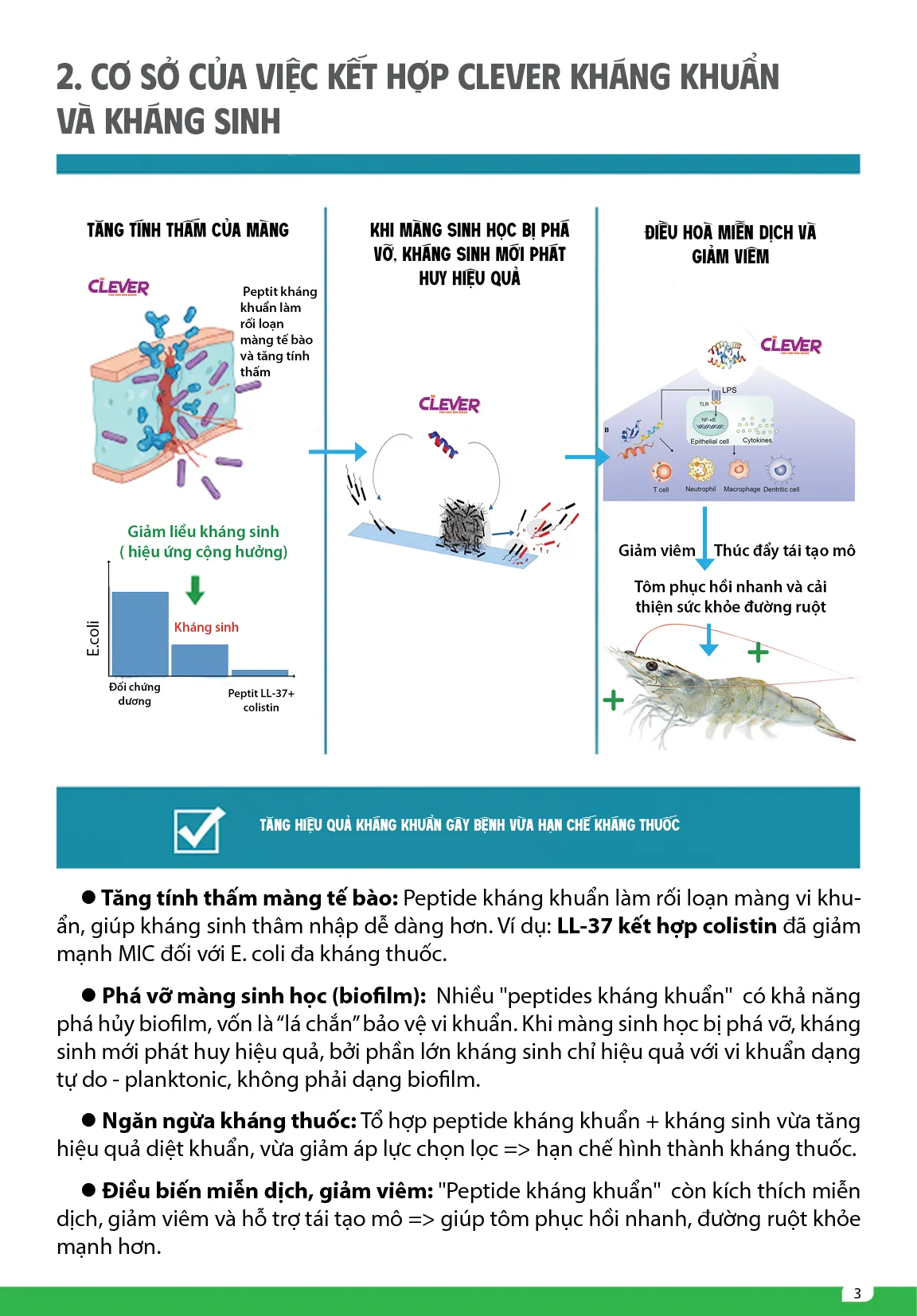 Clever_dong_peptide_khang_khuYn3
