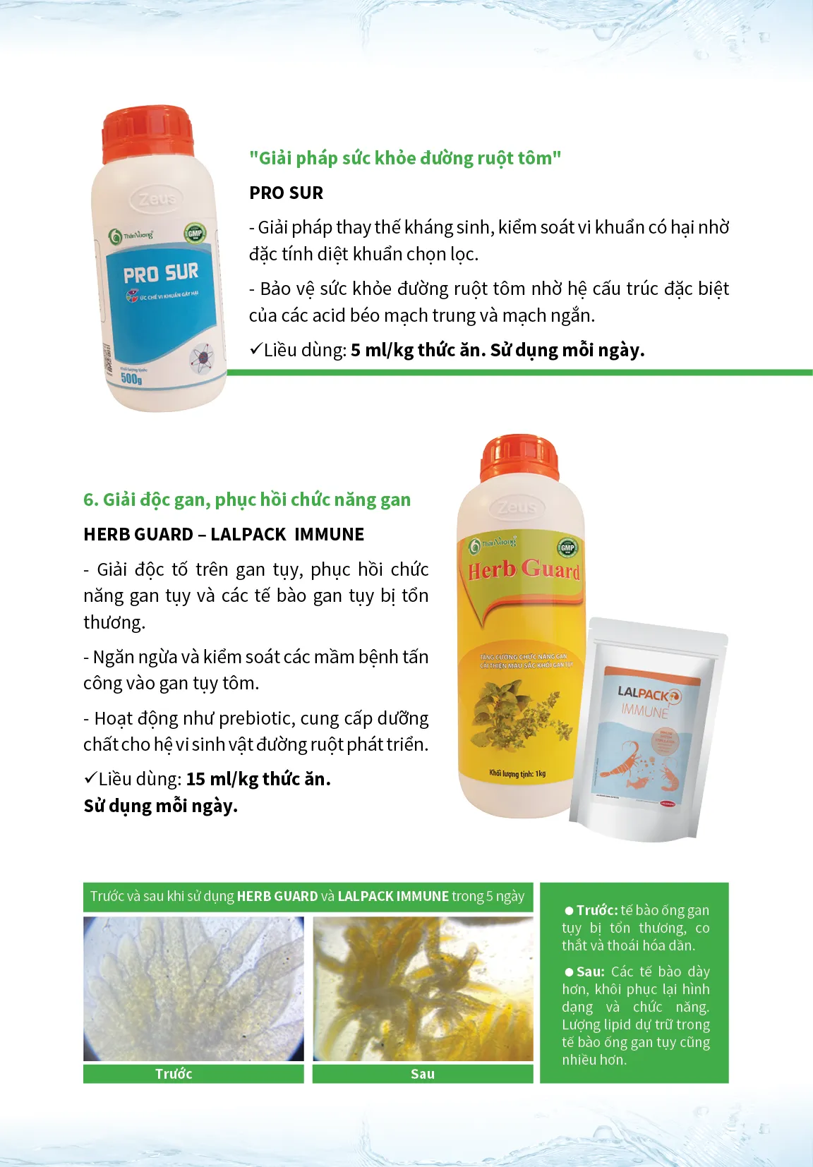 8_STEPS_TO_CONTROL_AND_REDUCE_RISK_FROM_EHP8