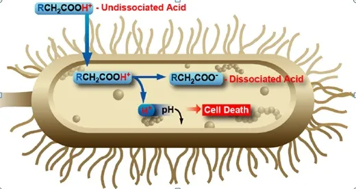 acid-huu-co