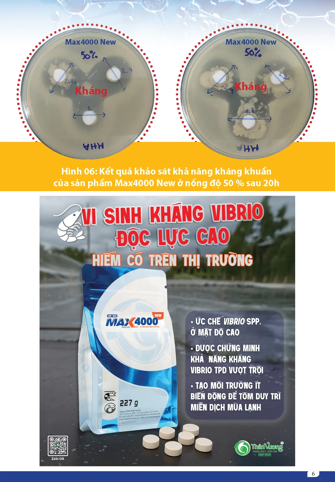KIYM_TRA_KHY_NYNG_KHANG_KHUYN_CYA_SYN_PHYM_MAX4000_new_cYp_nhYt6