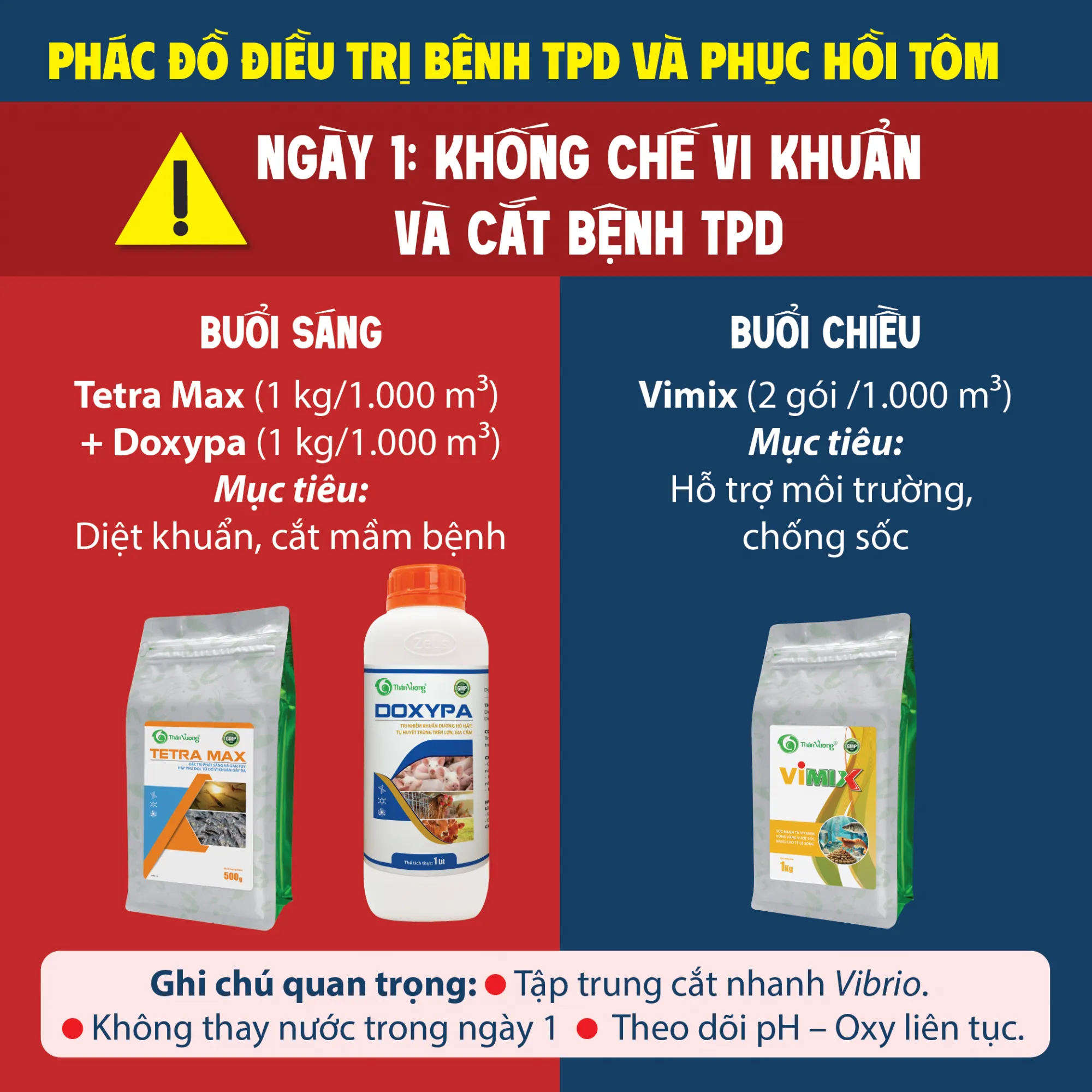 PHAC_YY_YIYU_TRY_BYNH_TPD_VA_PHYC_HYI_TOM-01