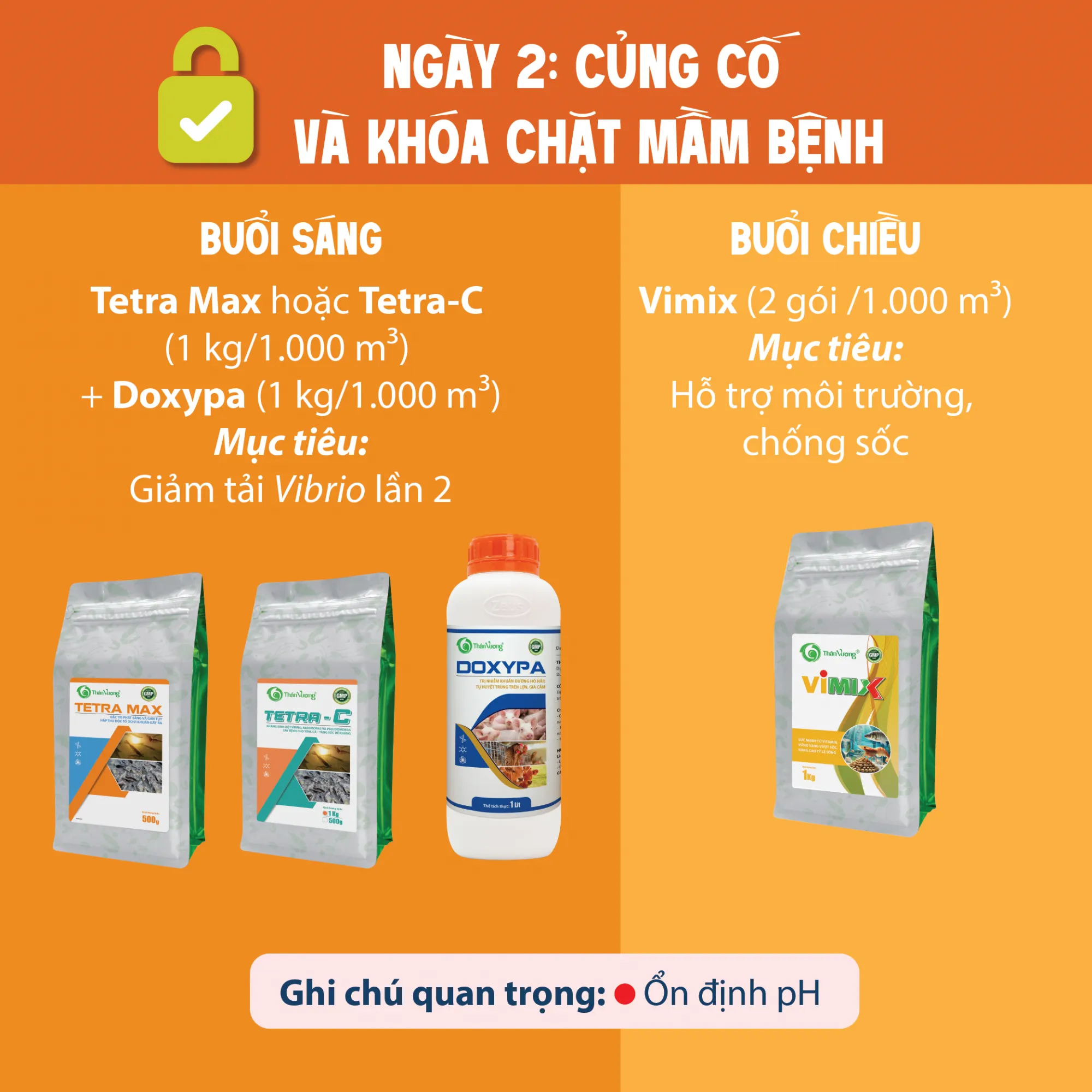 PHAC_YY_YIYU_TRY_BYNH_TPD_VA_PHYC_HYI_TOM-02