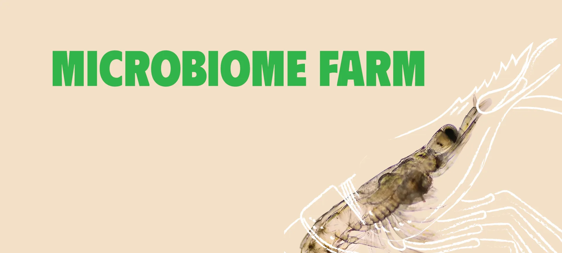 Microbio Farm — Công nghệ vi sinh