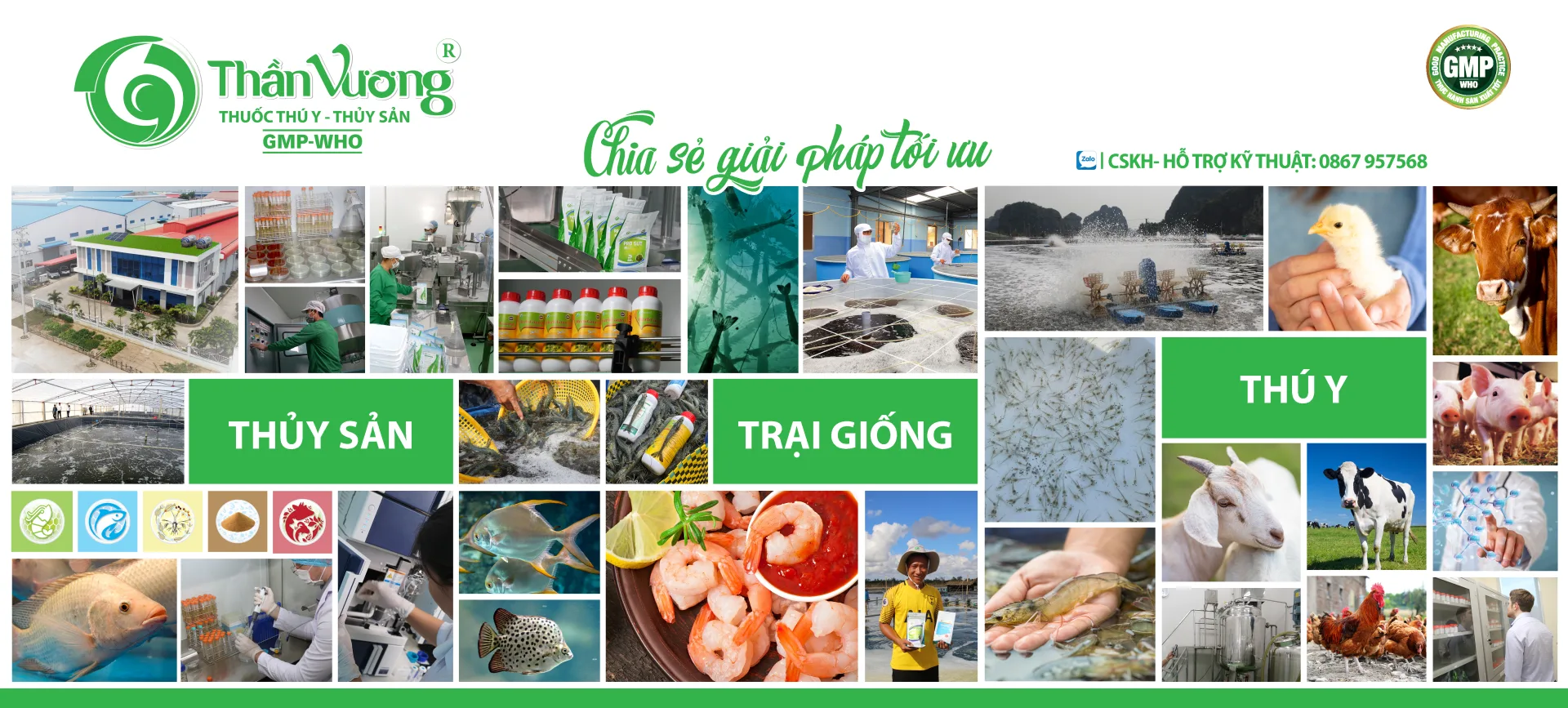 Thần Vương — Thủy sản, Giống, Thú y