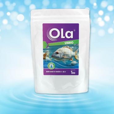 OLA VIBRIO