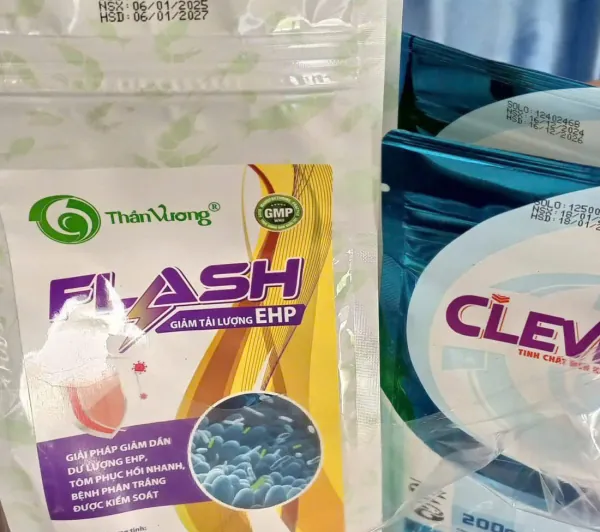 FLASH và CLEVER — bộ đôi xử lý phân trắng và EHP